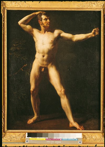 Étude d